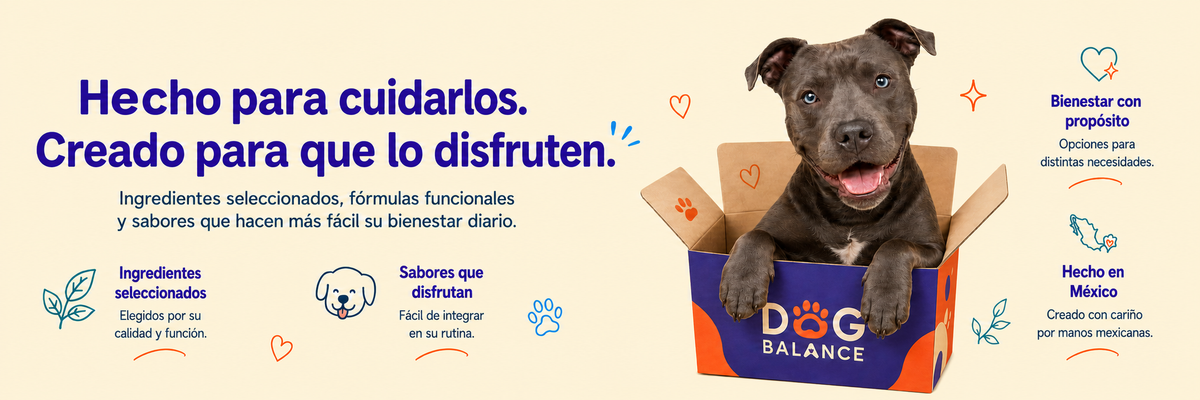 Beneficios de los suplementos Dog Balance para el bienestar diario de tu perro