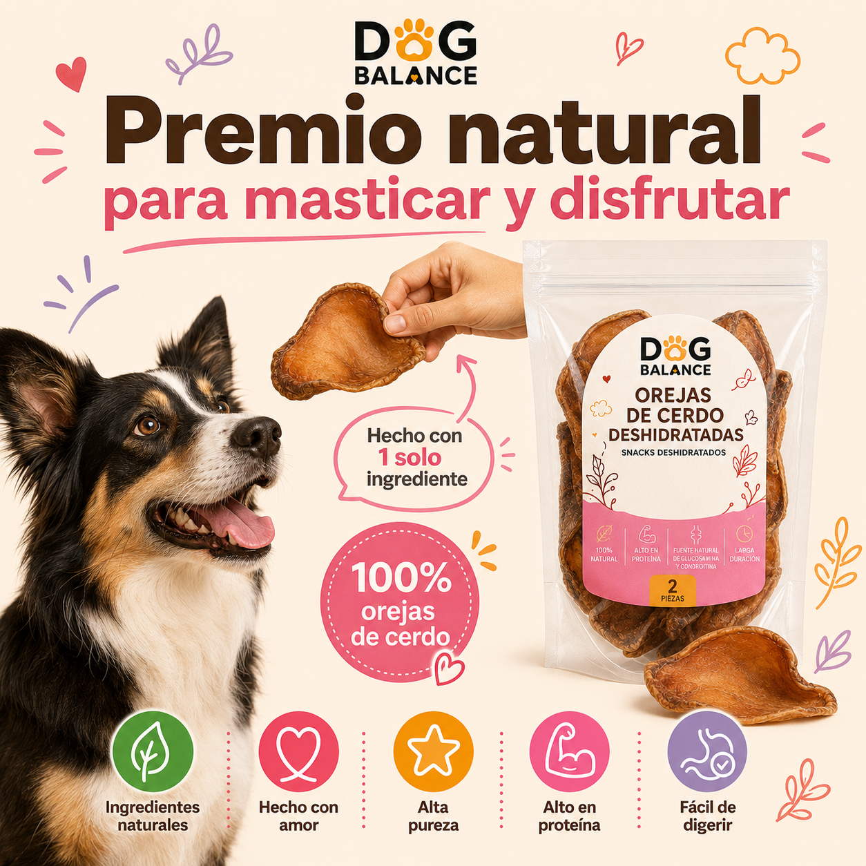 Premios Deshidratados: Oreja de Cerdo