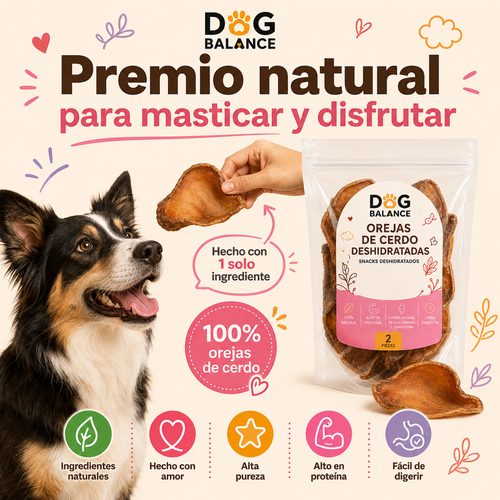 Premios Deshidratados: Oreja de Cerdo