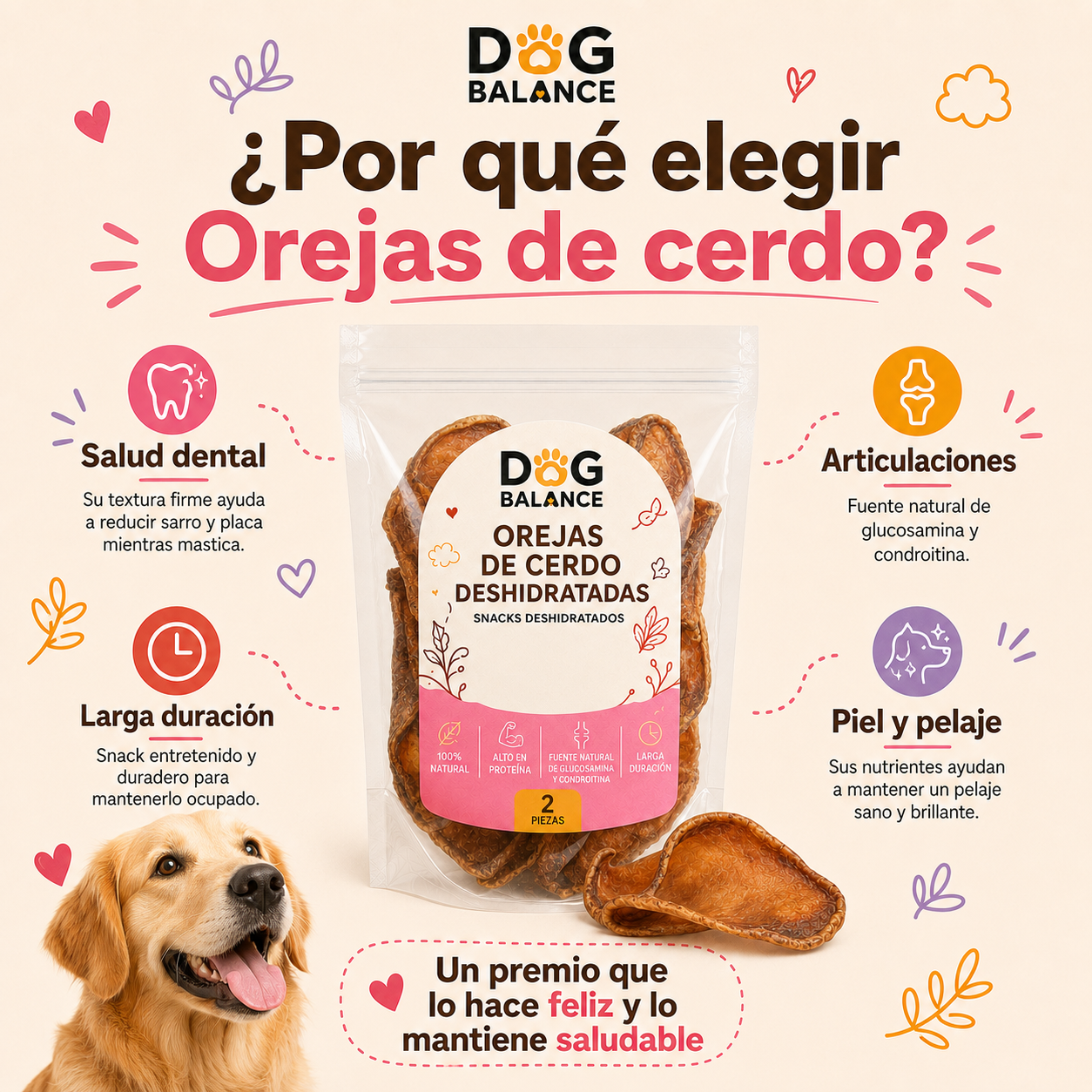 Premios Deshidratados: Oreja de Cerdo