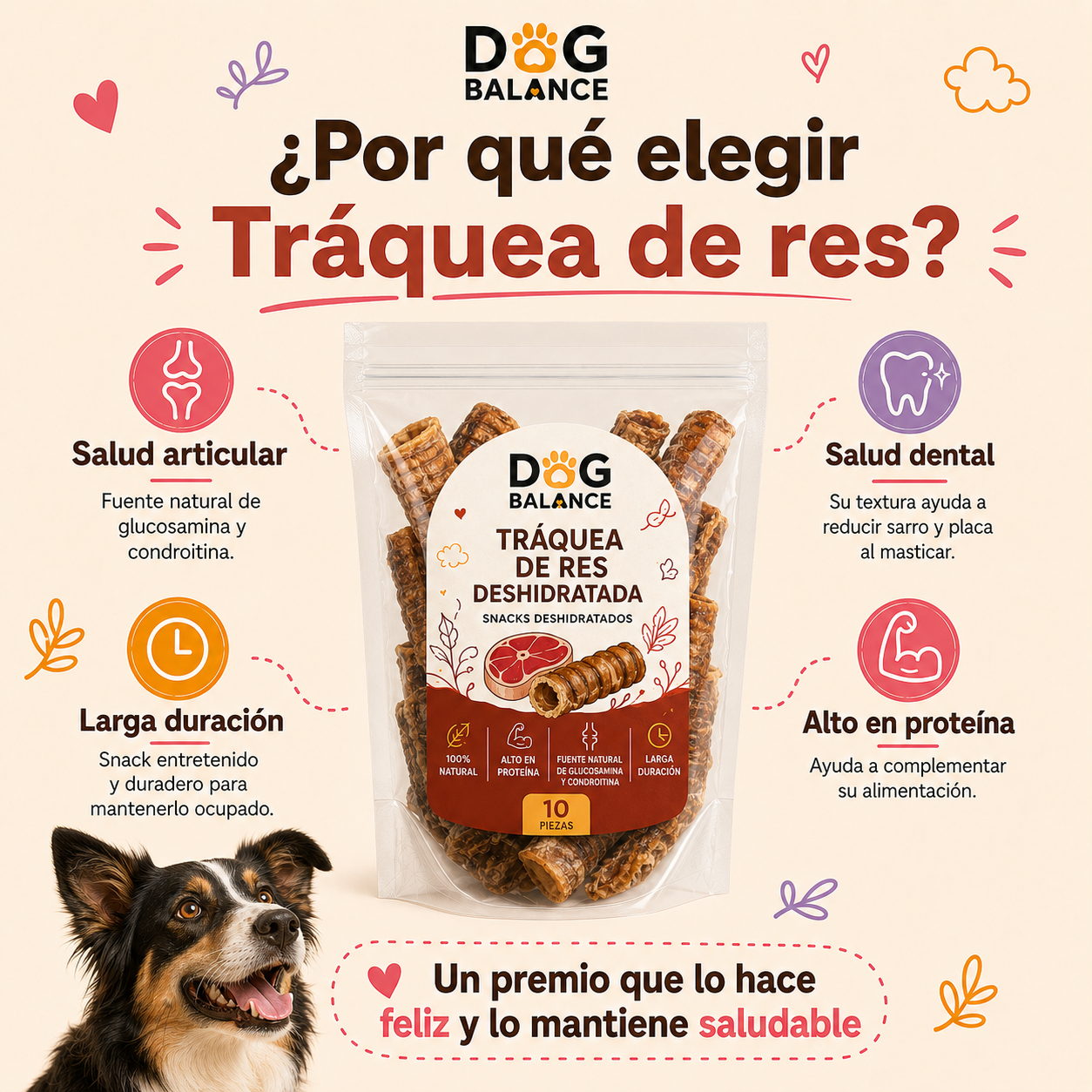 Premios Deshidratados: Tráquea de Res