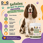 Suplemento para la Digestión: Digestive Defense