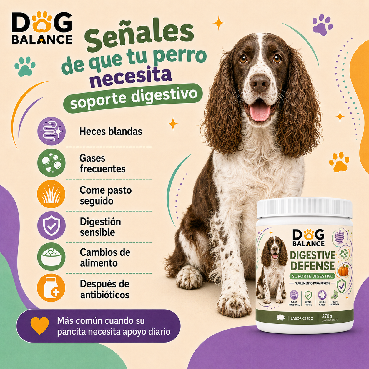 Suplemento para la Digestión: Digestive Defense