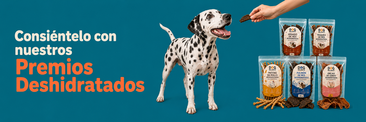 Premios deshidratados naturales para perros Dog Balance