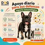 Suplemento para Alergias: Allergy Defense