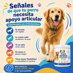 Suplemento para Movilidad: Flex Defense