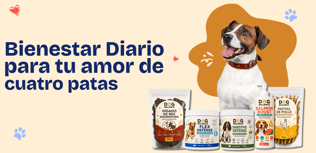 Suplementos, kits y bienestar diario para perros Dog Balance