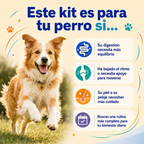 Kit Bienestar Total: Movilidad, Digestión, Piel y Vitalidad.