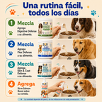 Kit Bienestar Total: Movilidad, Digestión, Piel y Vitalidad.