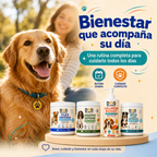 Kit Bienestar Total: Movilidad, Digestión, Piel y Vitalidad.