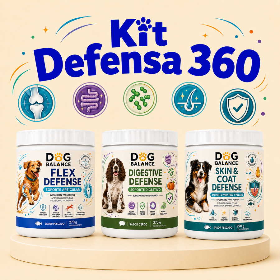 Kit Defensa 360: Movilidad, Digestión y Piel