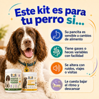 Kit Digestión y Calma: Equilibrio Intestinal y Relajación