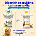 Kit Digestión y Calma: Equilibrio Intestinal y Relajación