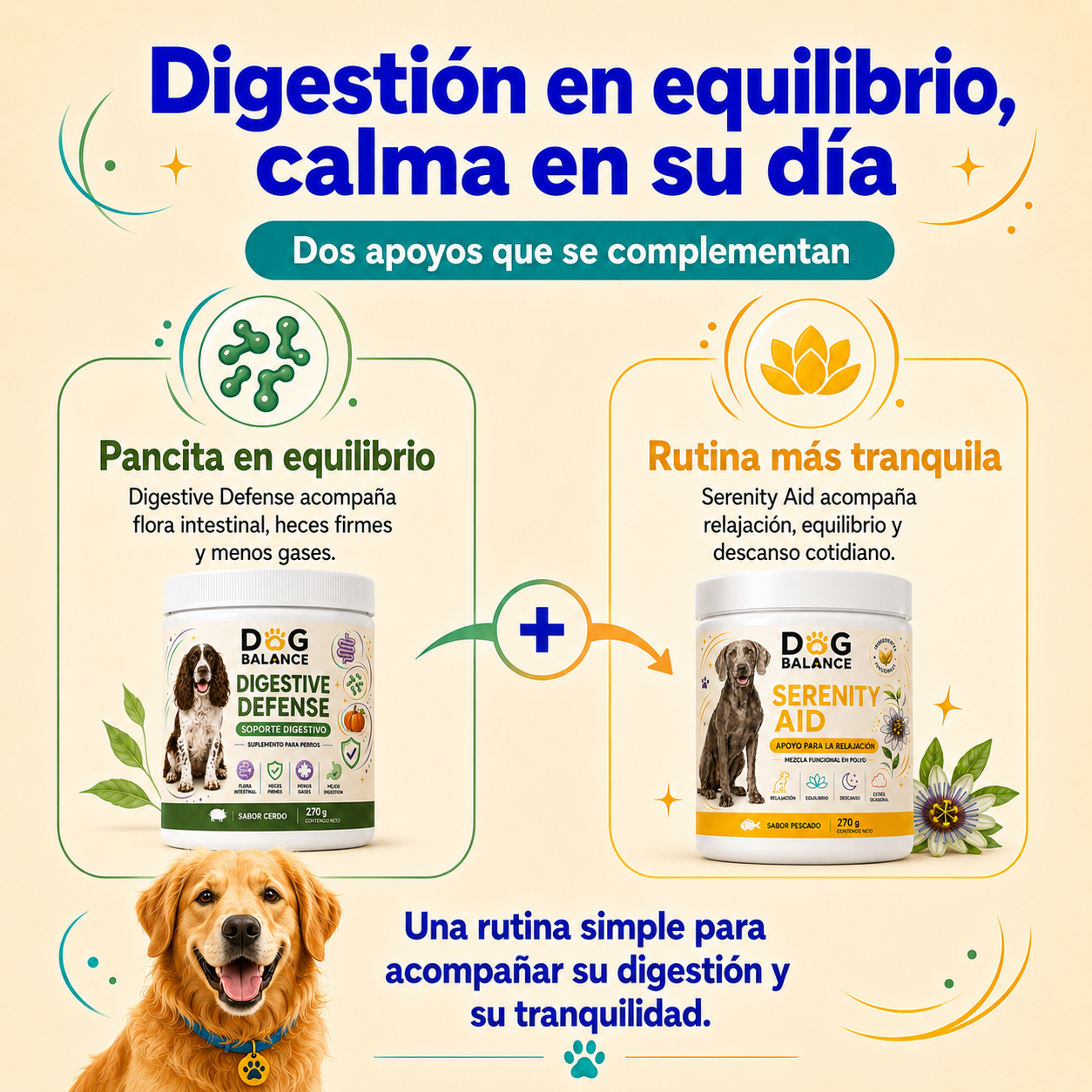 Kit Digestión y Calma: Equilibrio Intestinal y Relajación