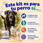 Kit Movilidad Activa: Articulaciones y Movimiento