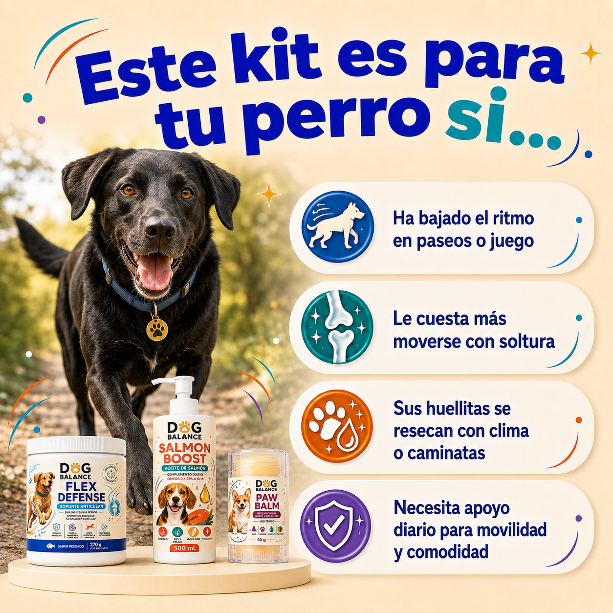 Kit Movilidad Activa: Articulaciones y Movimiento