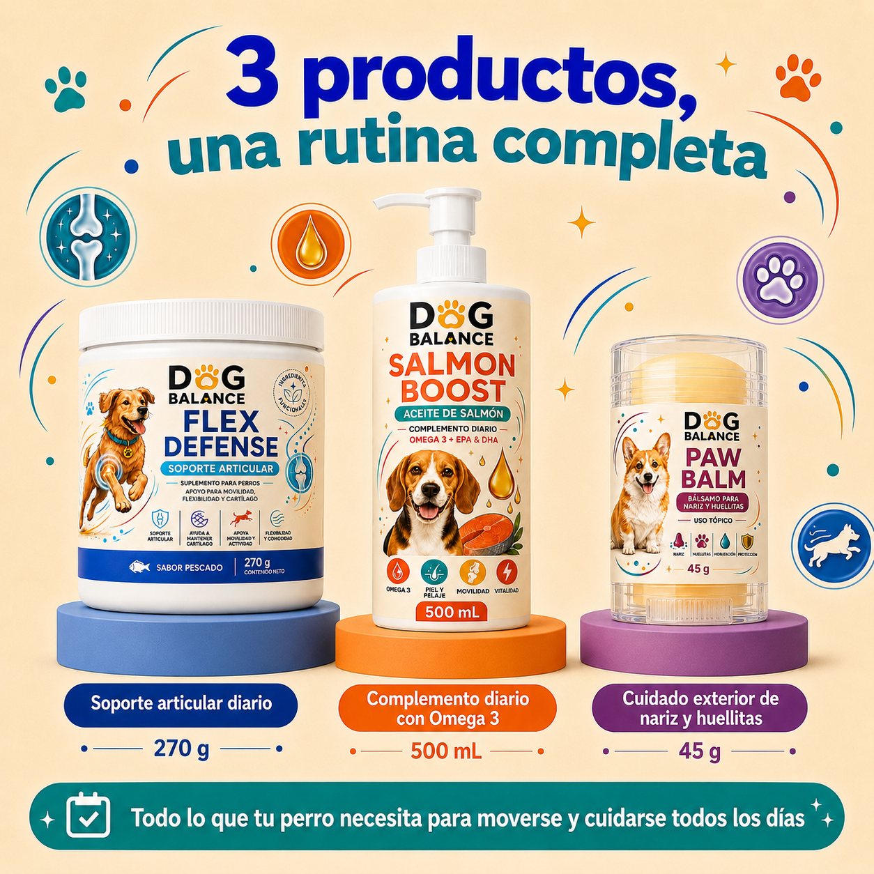 Kit Movilidad Activa: Articulaciones y Movimiento