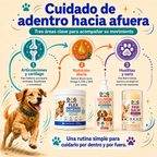 Kit Movilidad Activa: Articulaciones y Movimiento