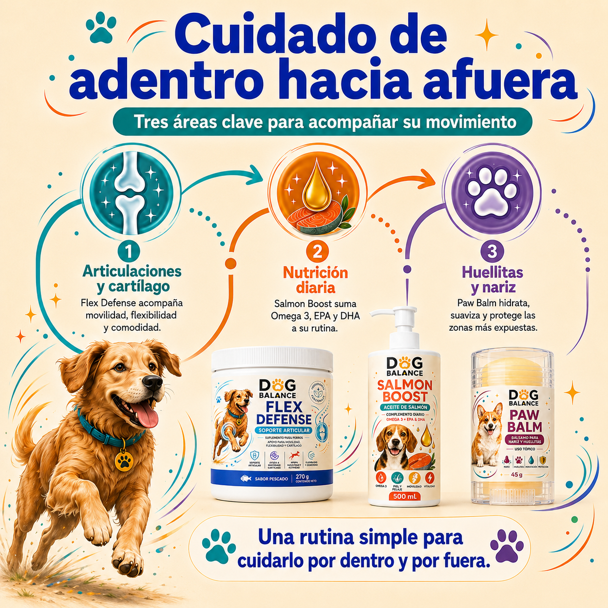 Kit Movilidad Activa: Articulaciones y Movimiento
