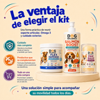 Kit Movilidad Activa: Articulaciones y Movimiento