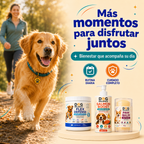 Kit Movilidad Activa: Articulaciones y Movimiento