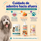 Kit Piel y Pelaje Completo: Nutrición, Brillo y Resequedad