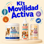 Kit Movilidad Activa: Articulaciones y Movimiento