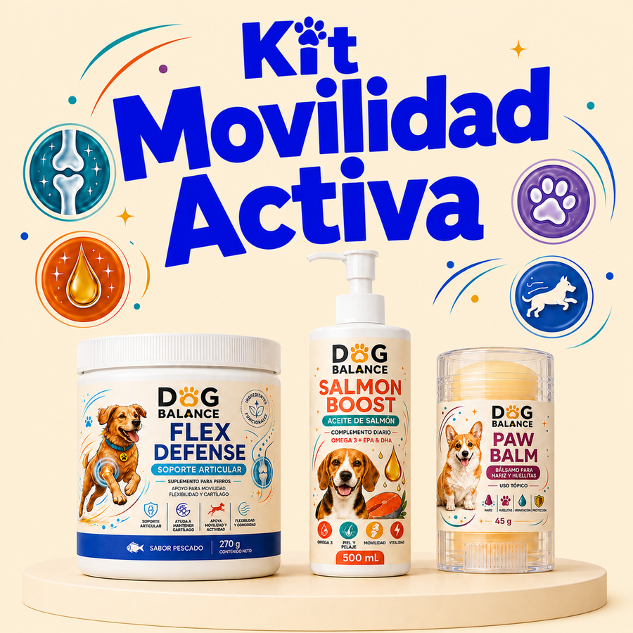 Kit Movilidad Activa: Articulaciones y Movimiento