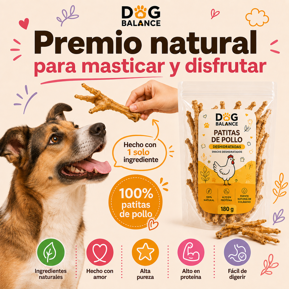 Premios Deshidratados: Patita de Pollo
