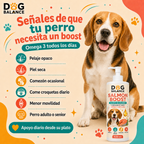 Aceite de Salmón para Perro: Salmon Boost