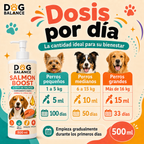 Aceite de Salmón para Perro: Salmon Boost