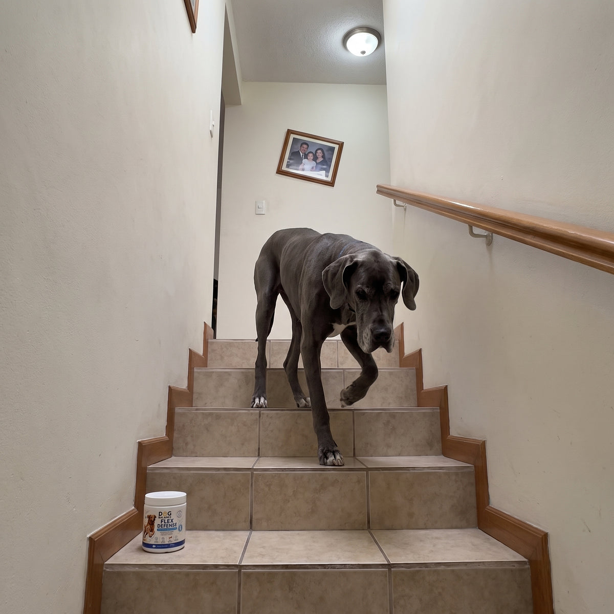 Las escaleras ya no se ven como una misión